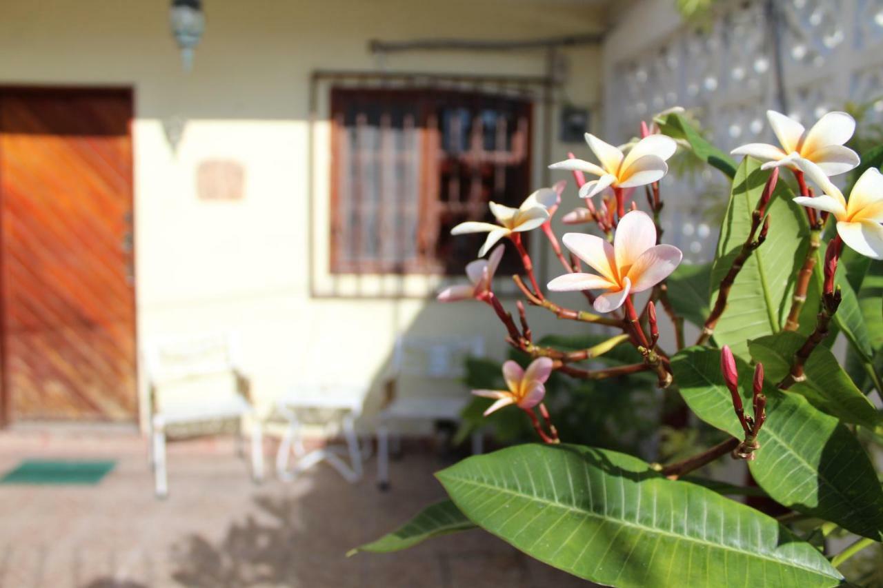 Cancun Guest House Bagian luar foto